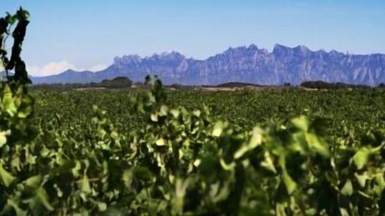 Photo of Outdoor in Puigdalba