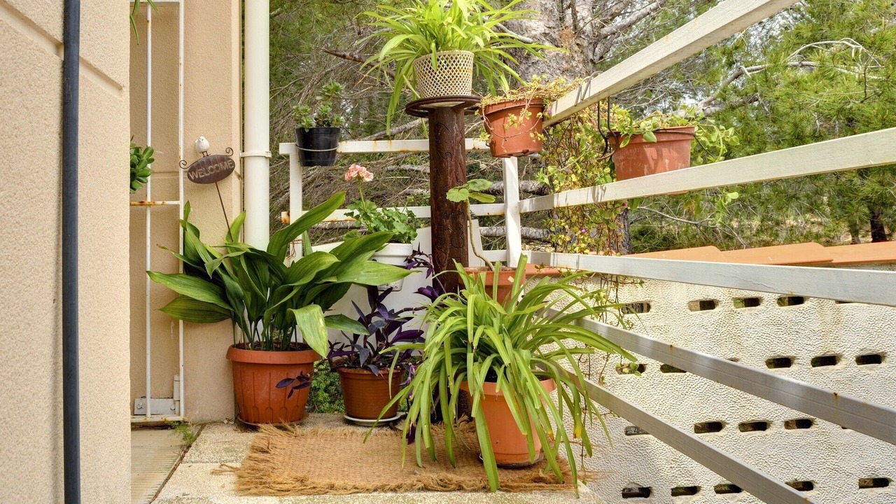 Photo of Outdoor in L Almadrava