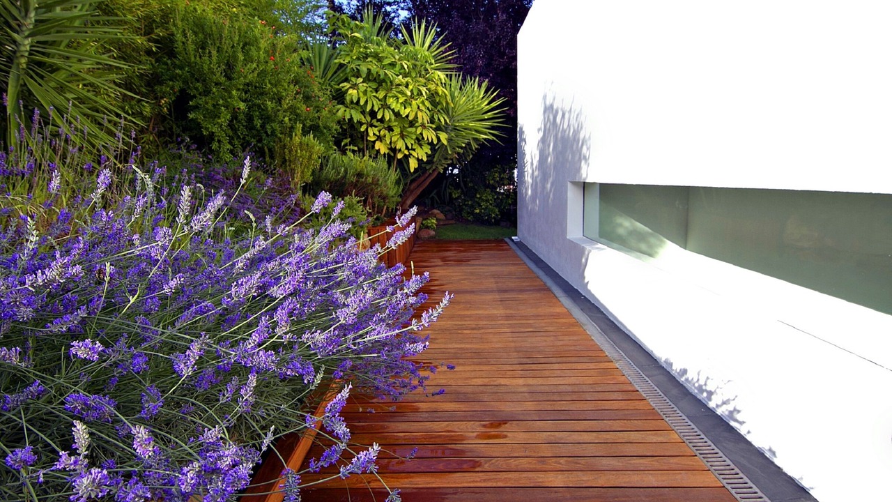Photo of Outdoor in Fontpineda