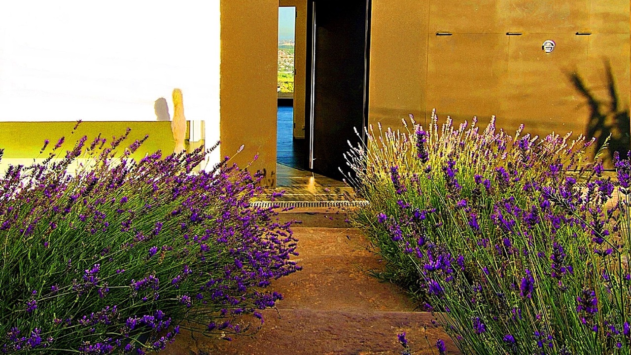 Photo of Outdoor in Fontpineda
