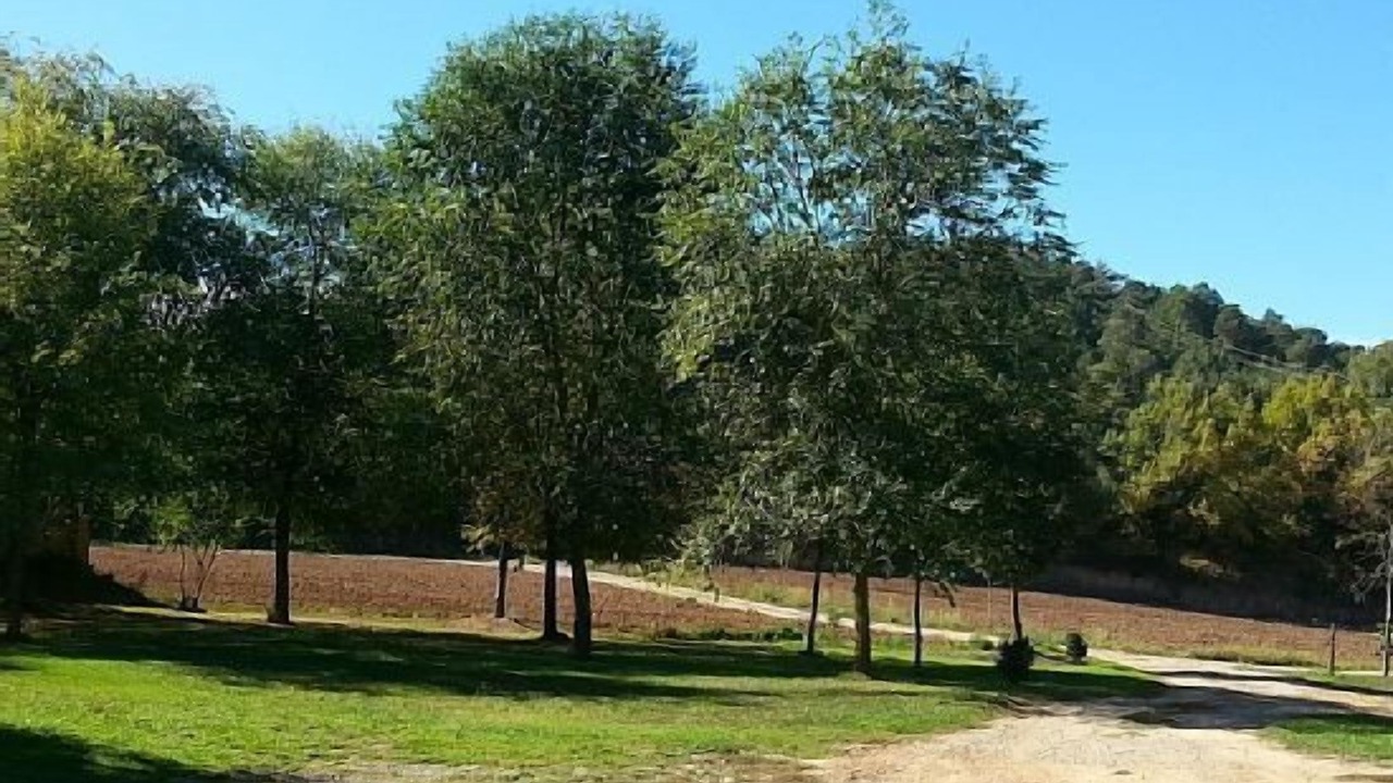 Photo of Others in Sant Bartomeu del Grau
