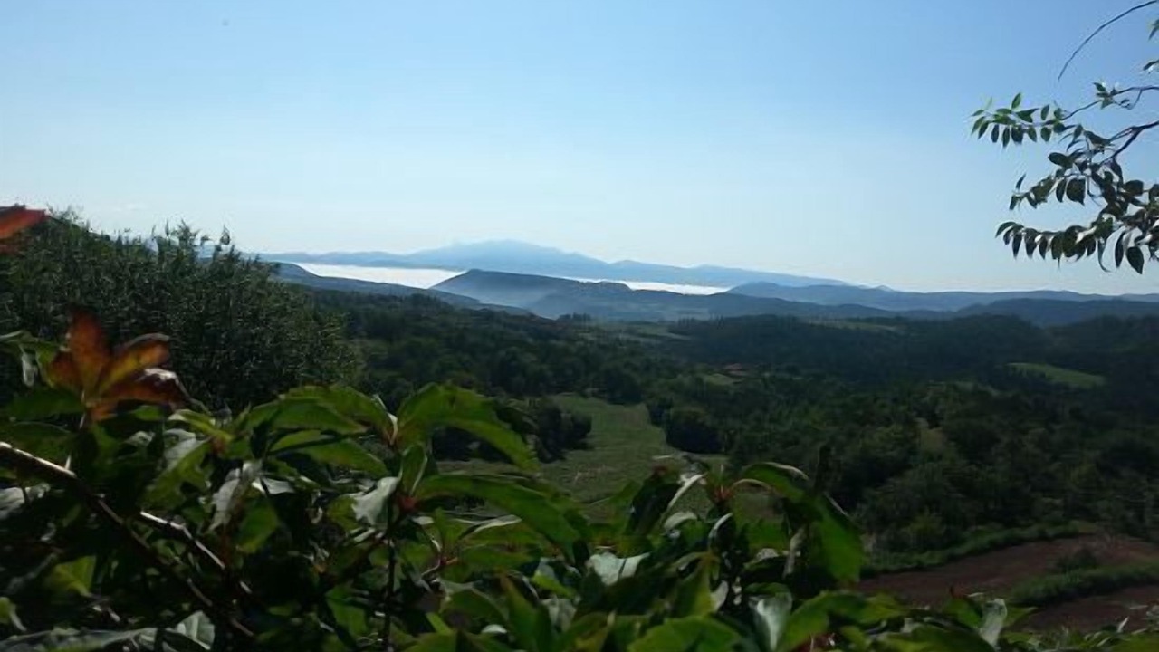 Photo of Outdoor in Sant Bartomeu del Grau