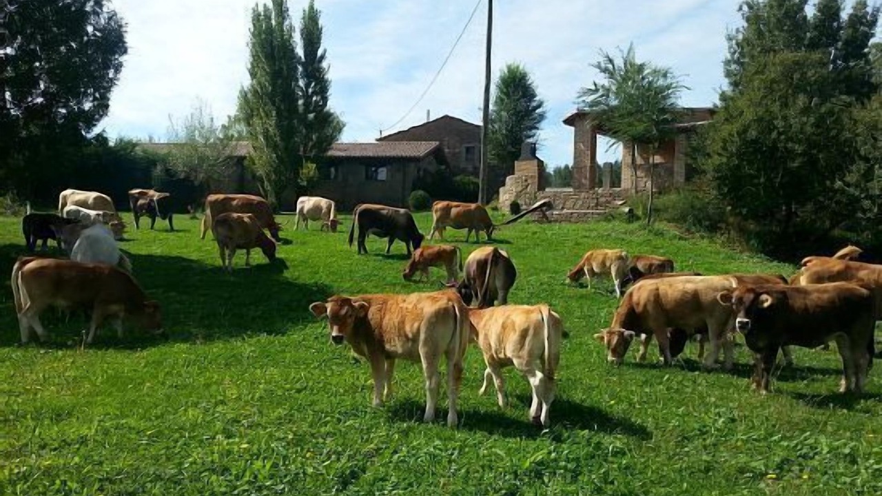 Photo of Outdoor in Sant Bartomeu del Grau