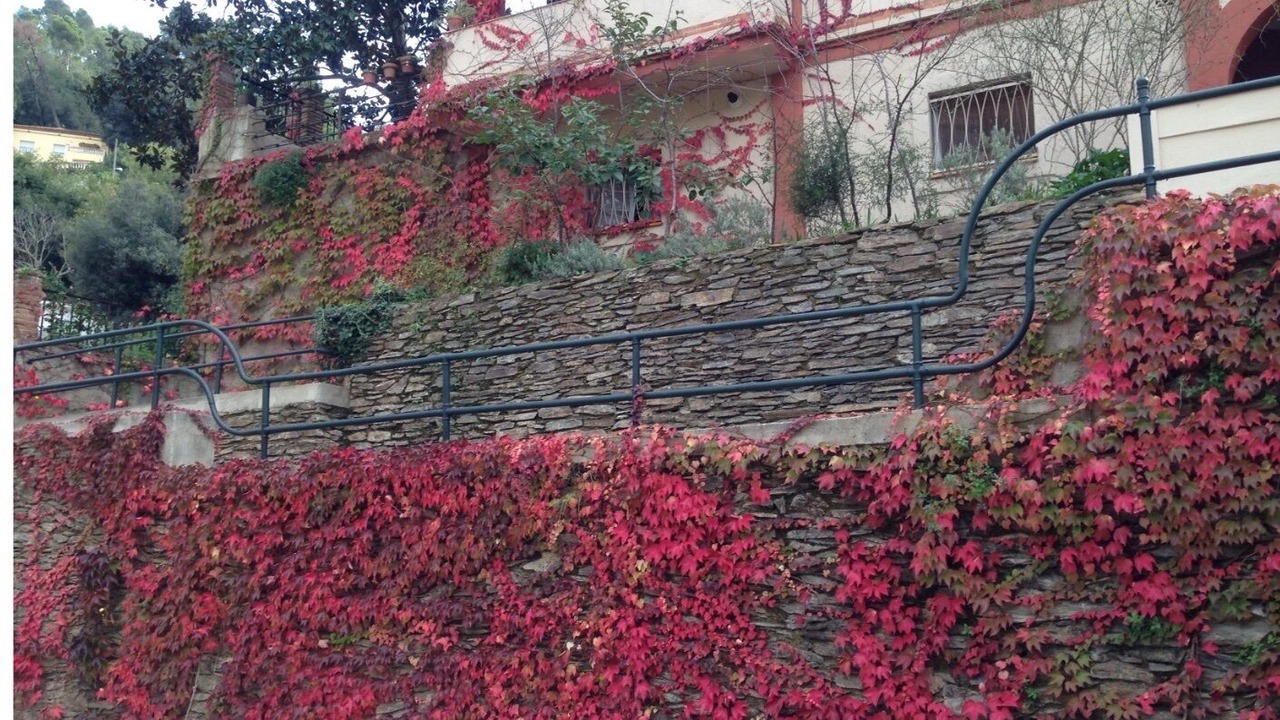 Photo of Outdoor in Vallvidrera