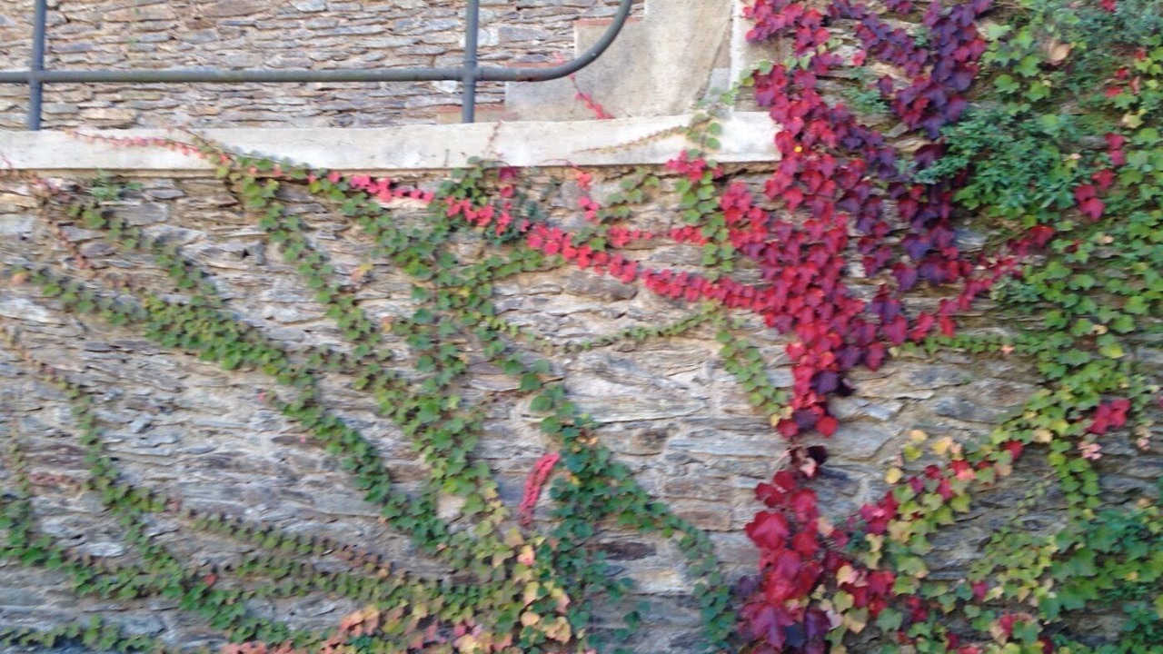 Photo of Outdoor in Vallvidrera