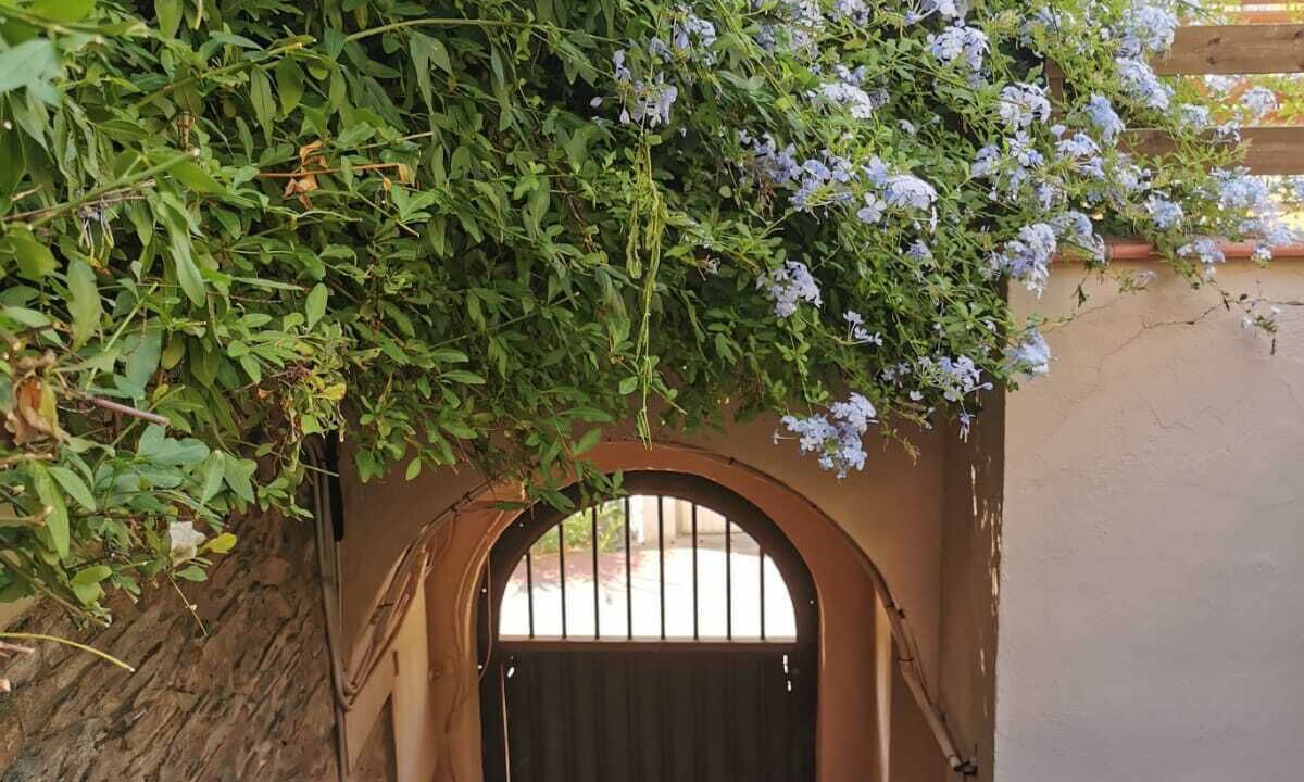 Photo of Outdoor in Vallvidrera