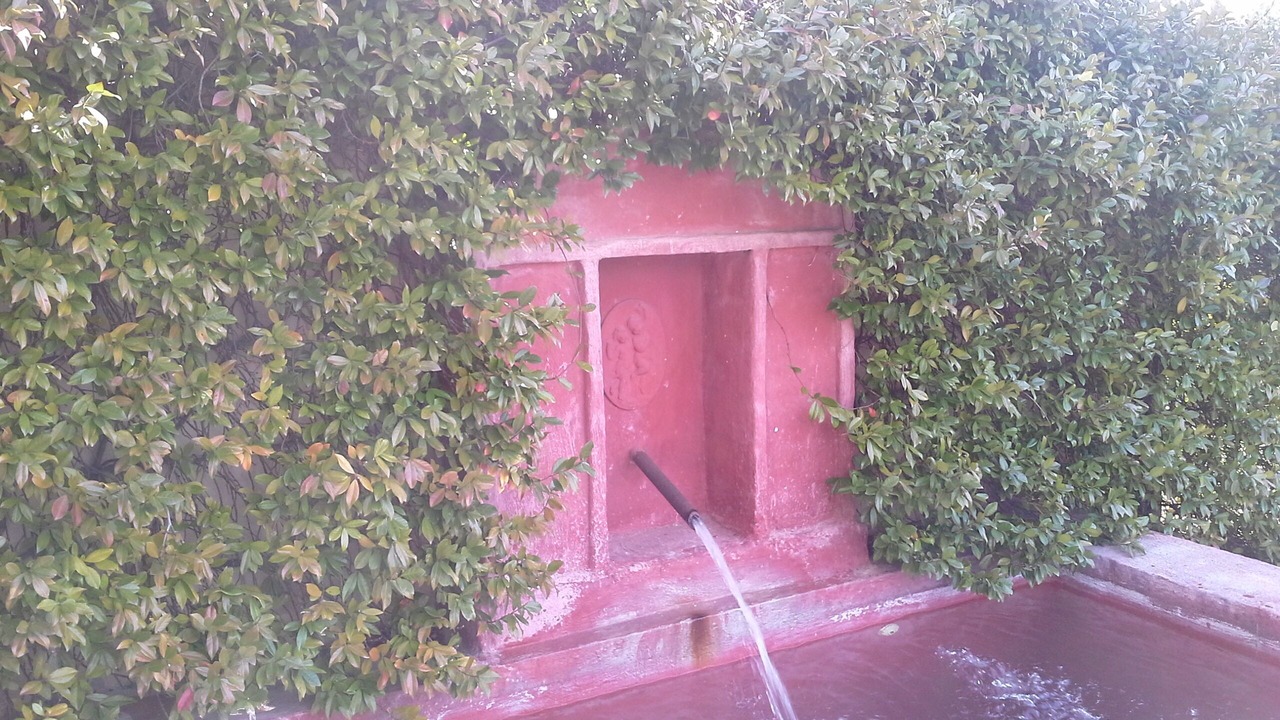 Photo of Outdoor in Camallera