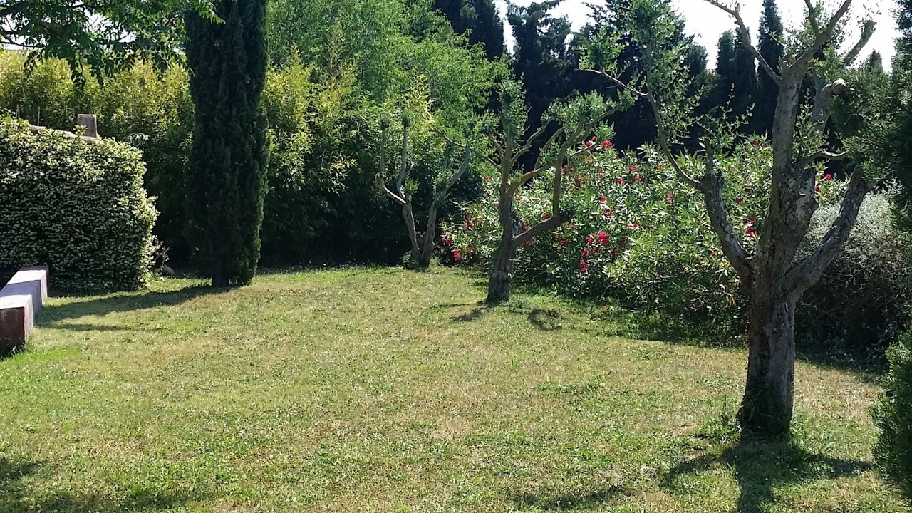 Photo of Outdoor in Camallera