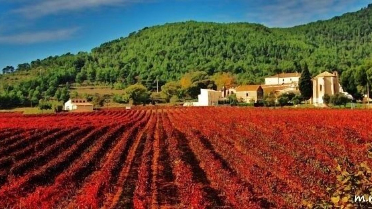 Photo of Outdoor in San Sadurni