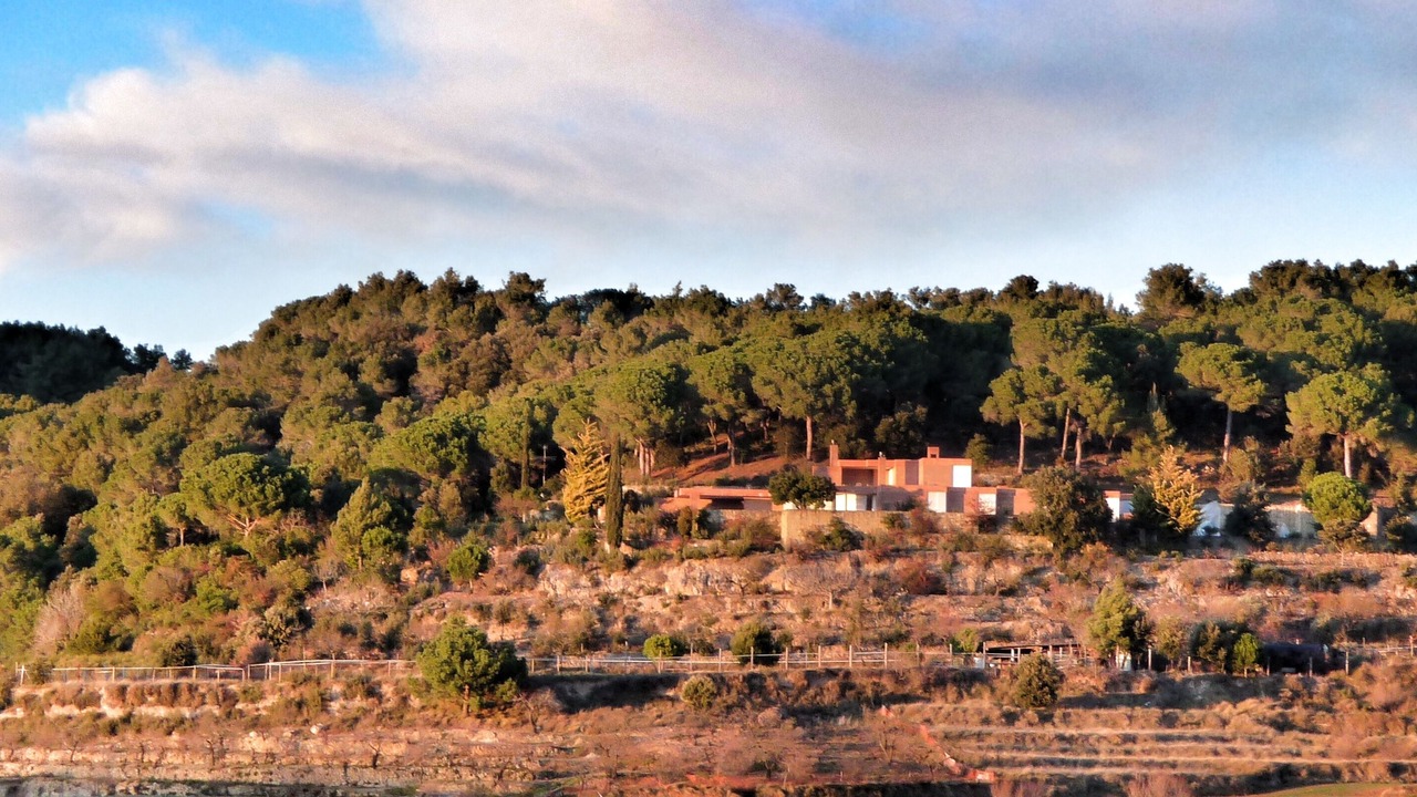 Photo of Others in Sant Feliu de Codines