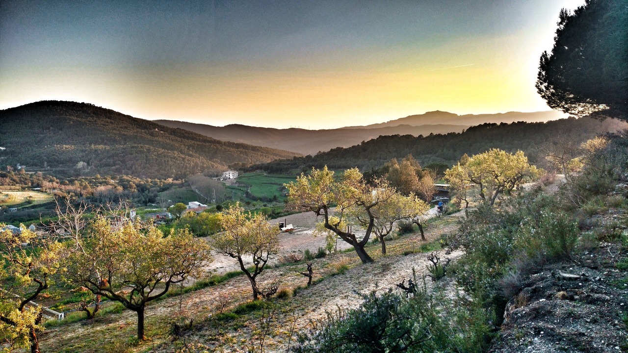 Photo of Outdoor in Sant Feliu de Codines