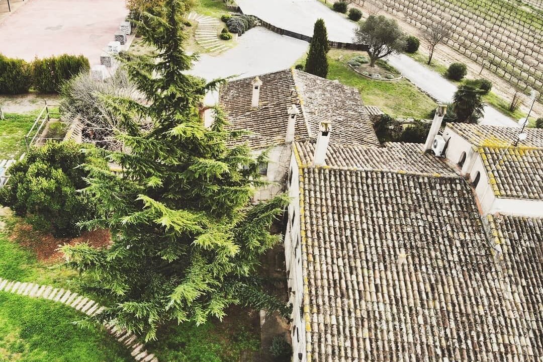 Photo of Outdoor in San Sadurni