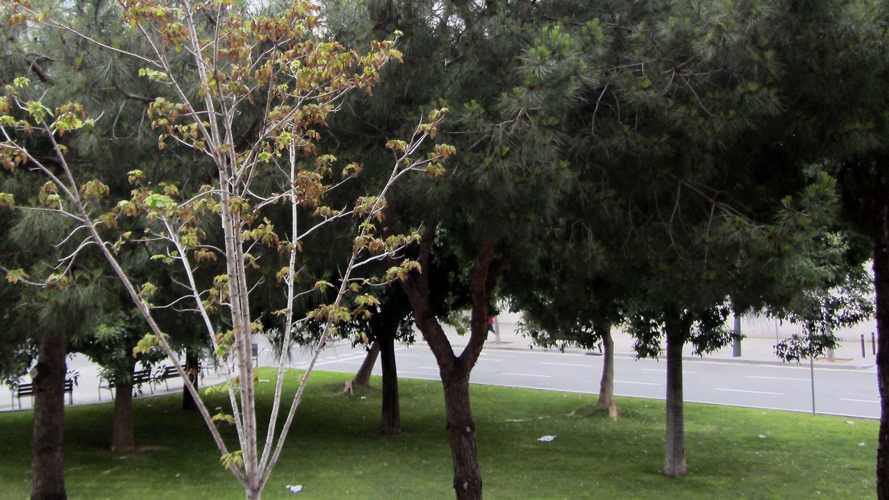 Photo of Outdoor in La Maternitat i Sant Ramon