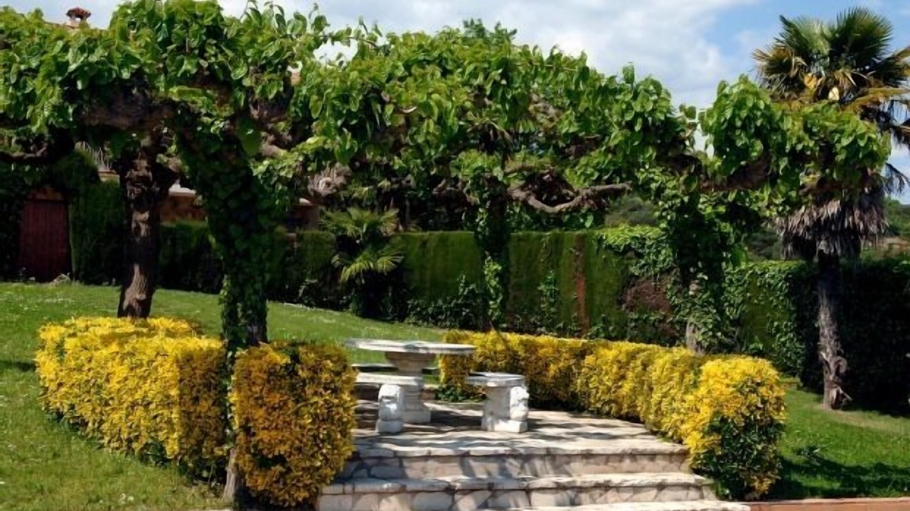 Photo of Outdoor in Fogars de la Selva