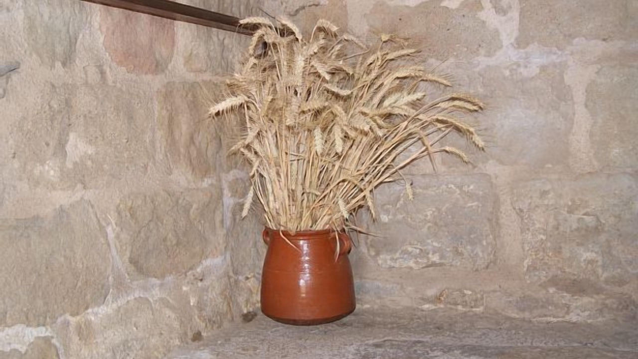 Photo of Others in Casserres