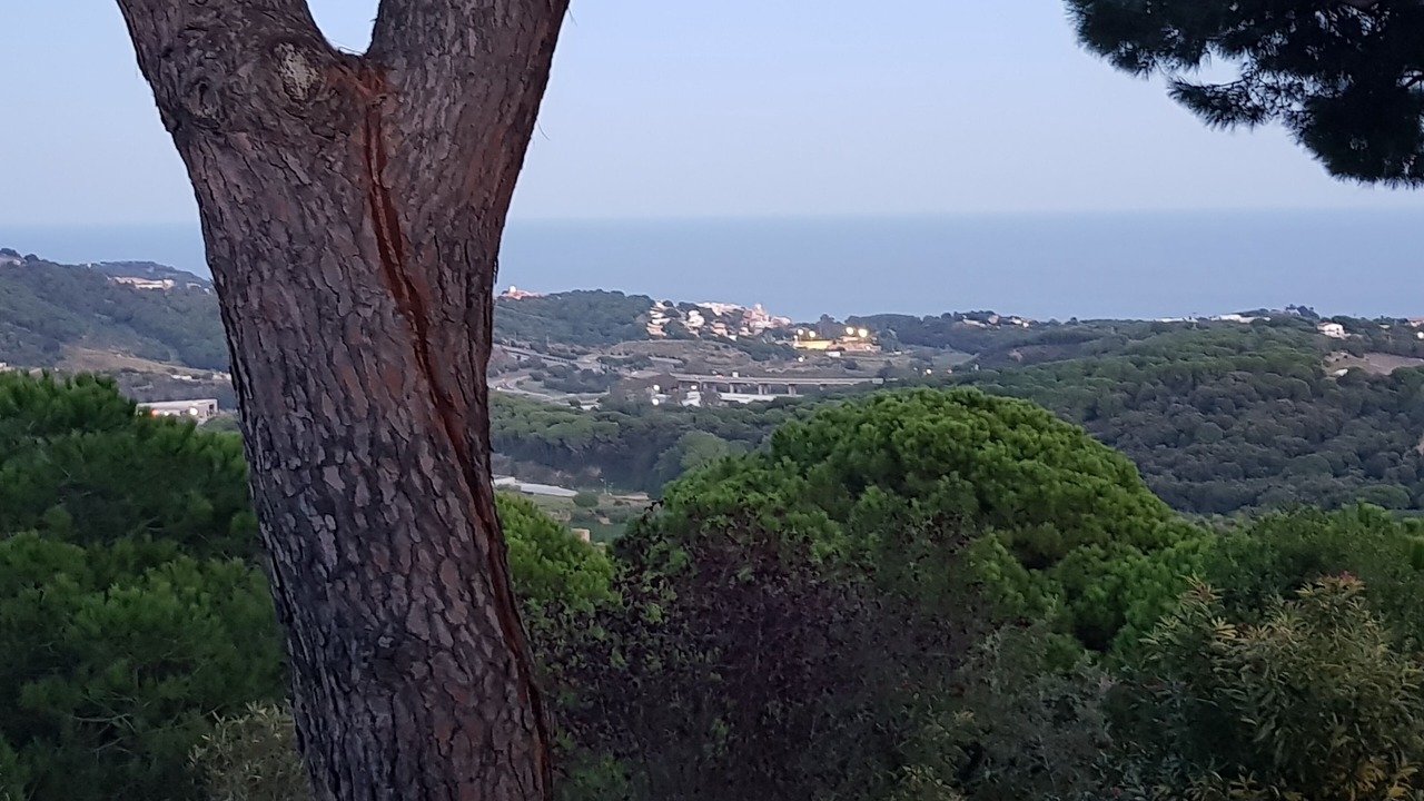 Photo of Others in Sant Cebria de Vallalta