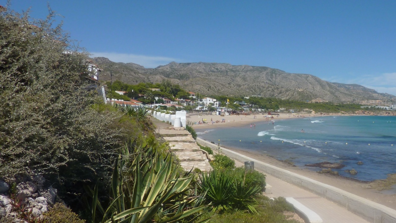 Photo of Others in L Almadrava