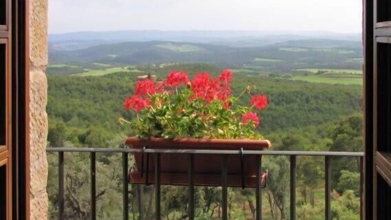 Photo of Bedroom in Cardona