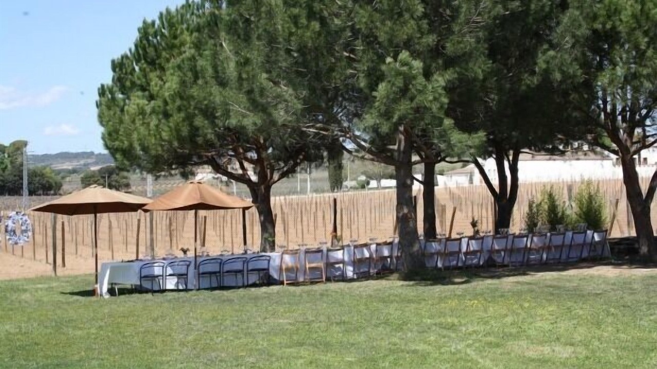 Photo of Outdoor in San Sadurni