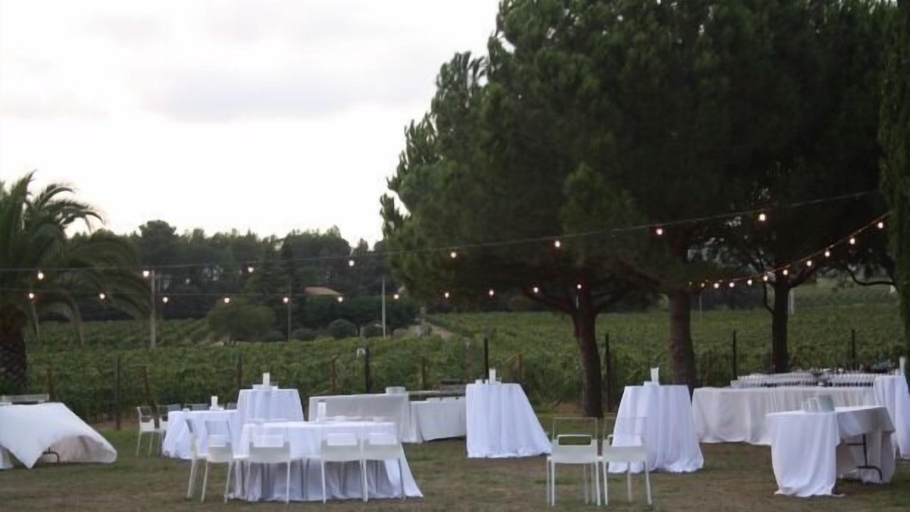 Photo of Outdoor in San Sadurni