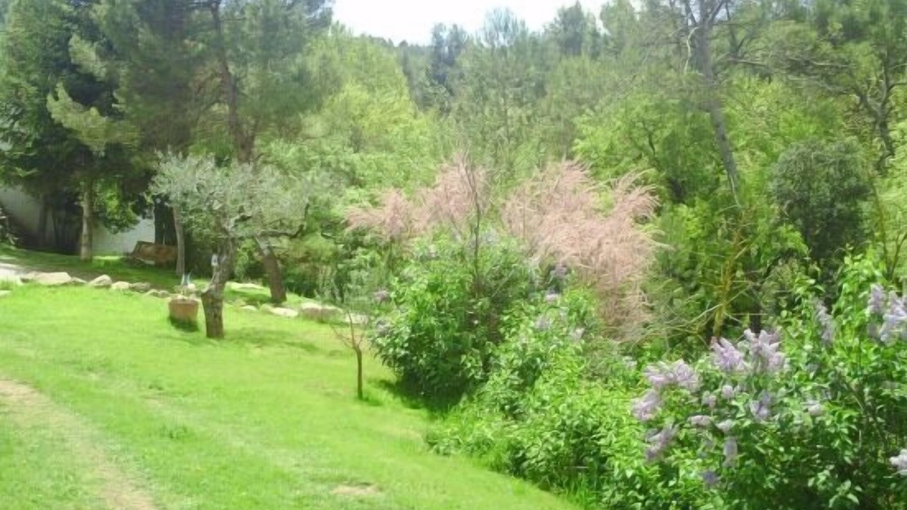 Photo of Outdoor in Sant Salvador de Guardiola