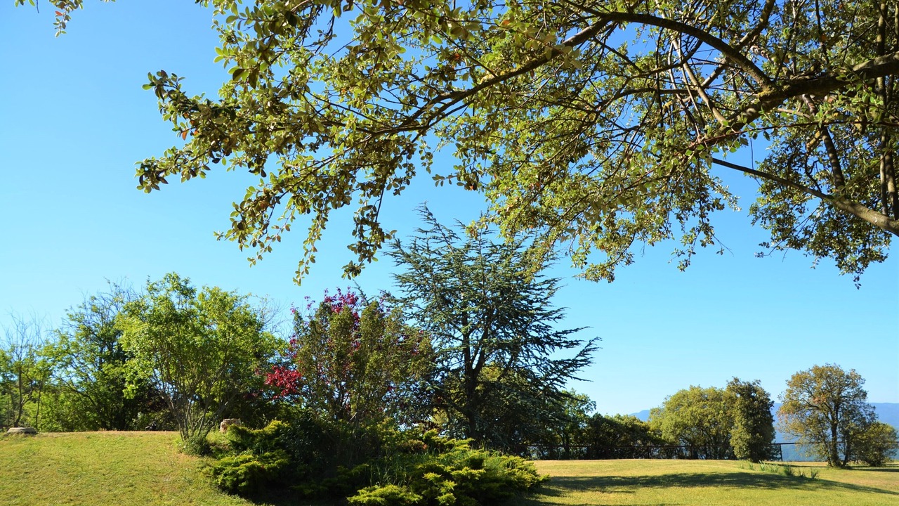 Photo of Outdoor in Tavertet