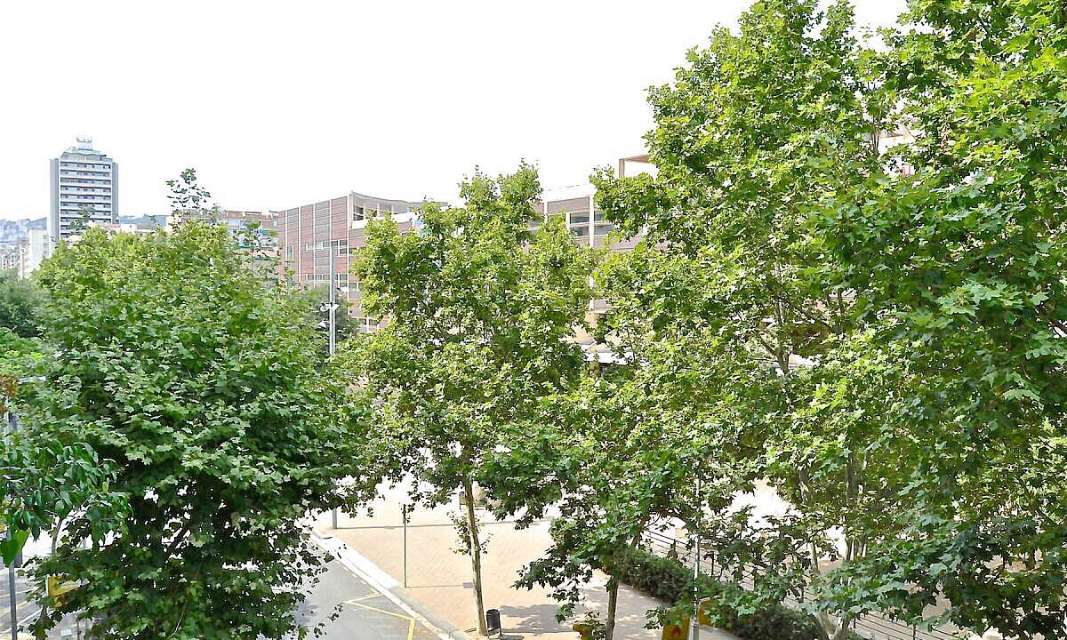 Photo of Outdoor in el Fort Pienc
