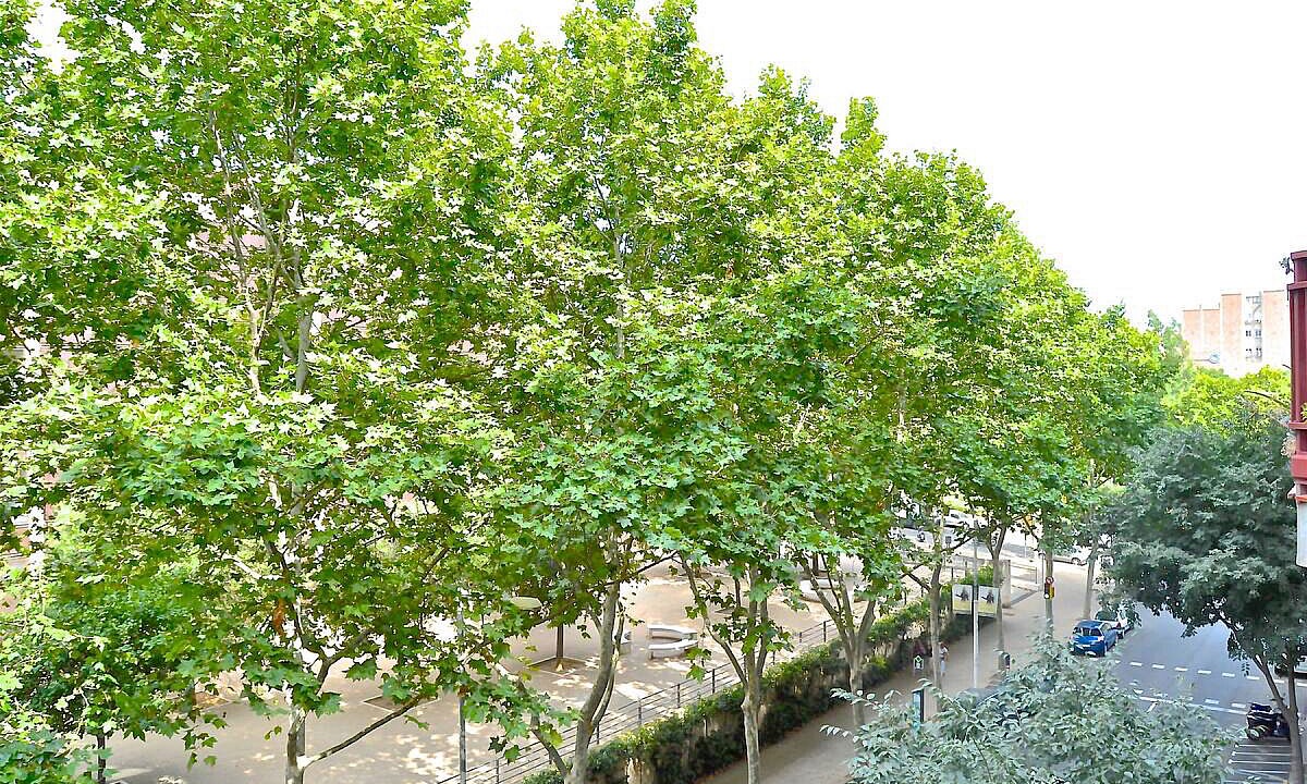 Photo of Outdoor in el Fort Pienc