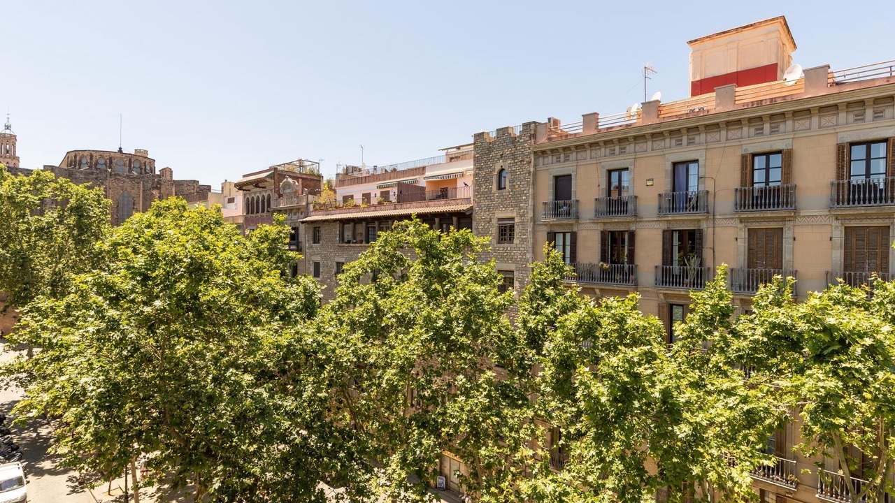 Photo of Outdoor in El Born