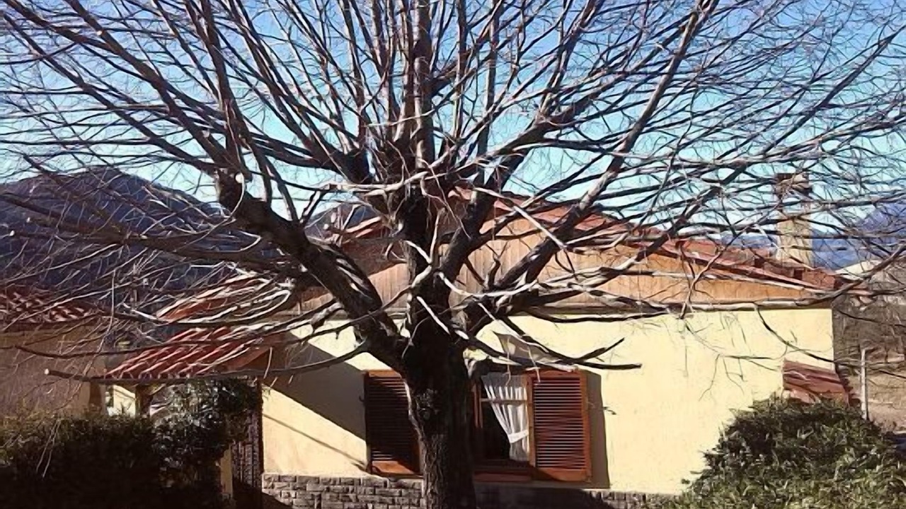 Photo of Outdoor in Borreda
