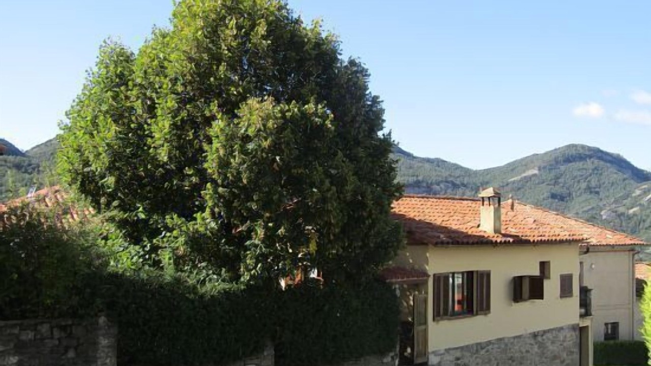 Photo of Outdoor in Borreda