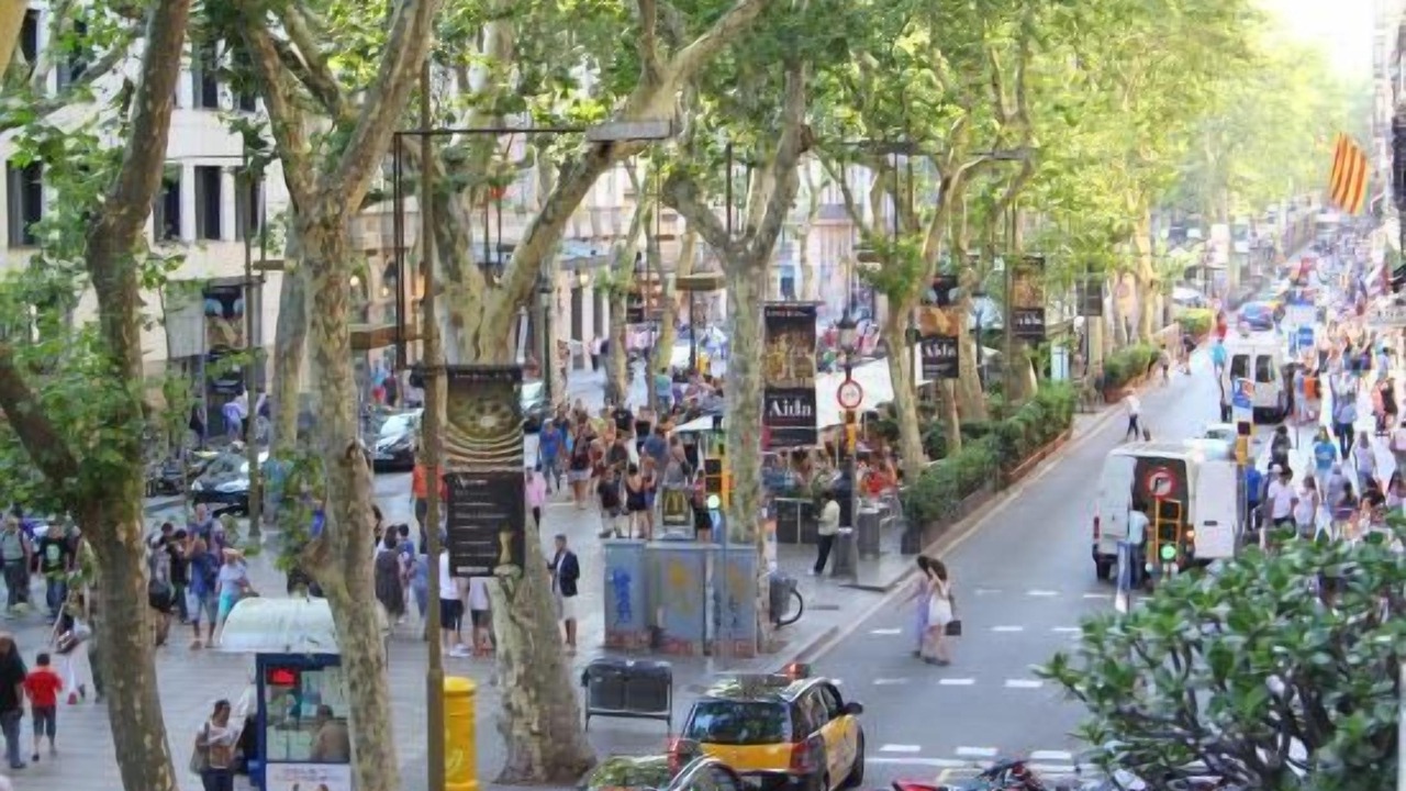 Photo of Others in Vallvidrera