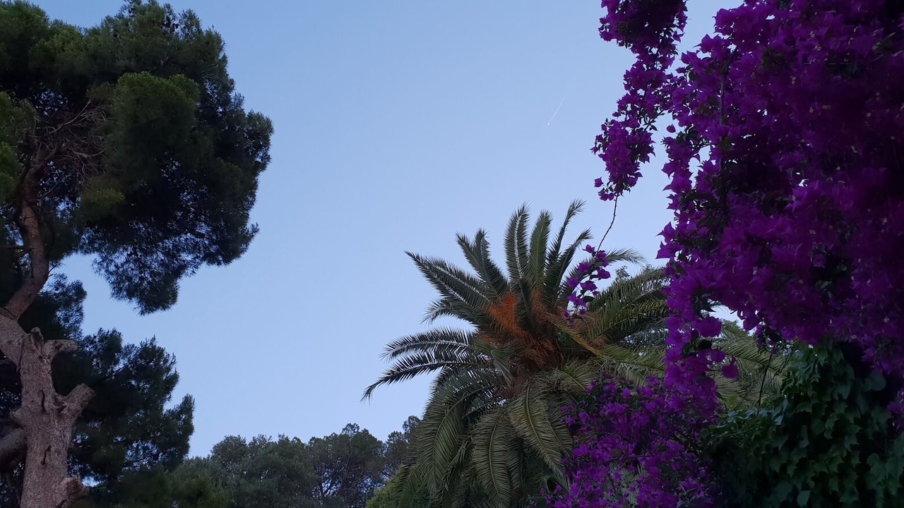 Photo of Outdoor in El Putget i Farro