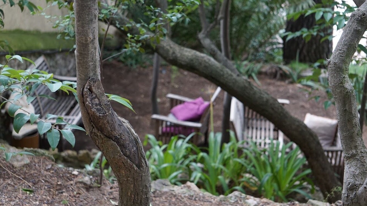 Photo of Outdoor in El Putget i Farro