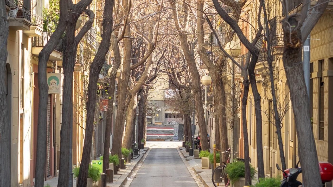 Photo of Outdoor in La Sagrada Familia