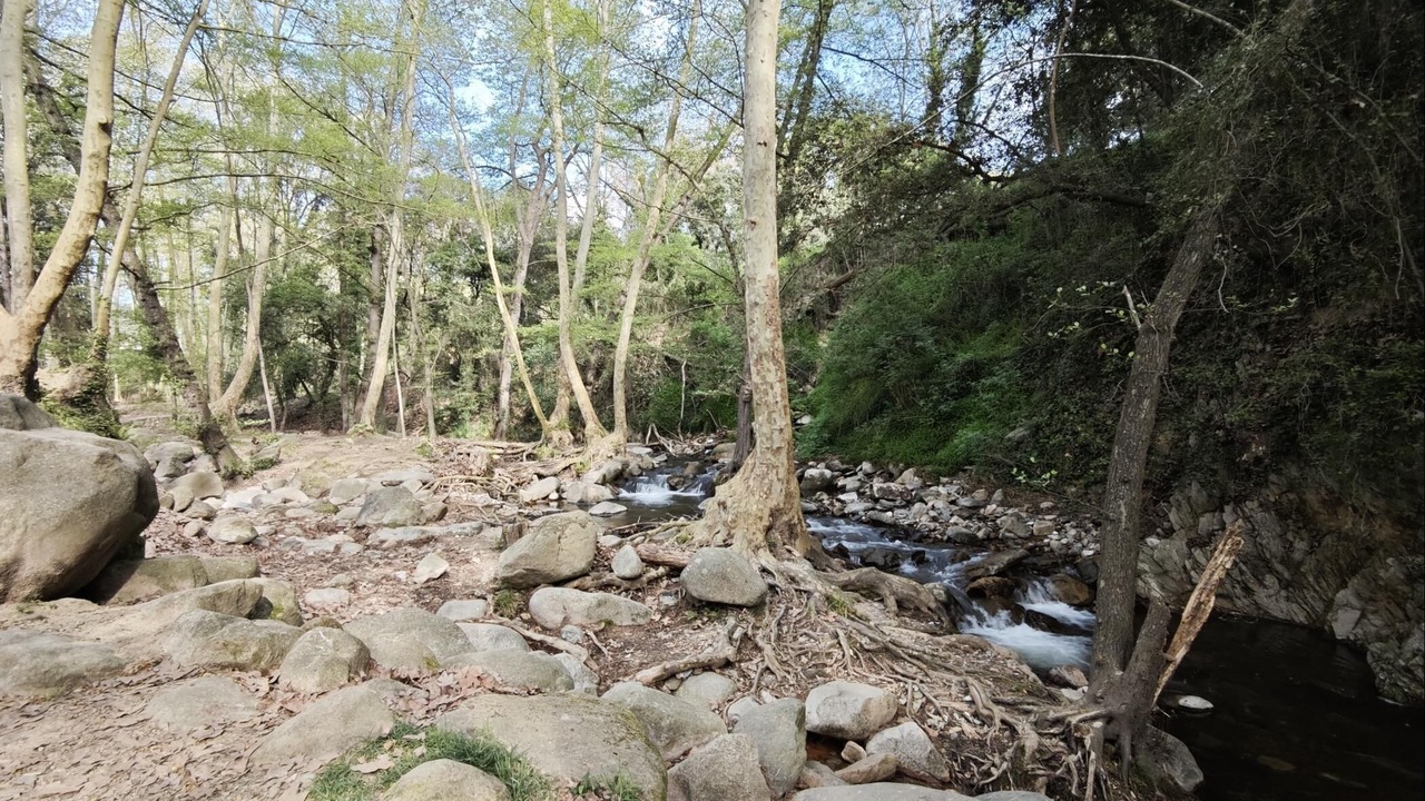 Photo of Others in Gualba