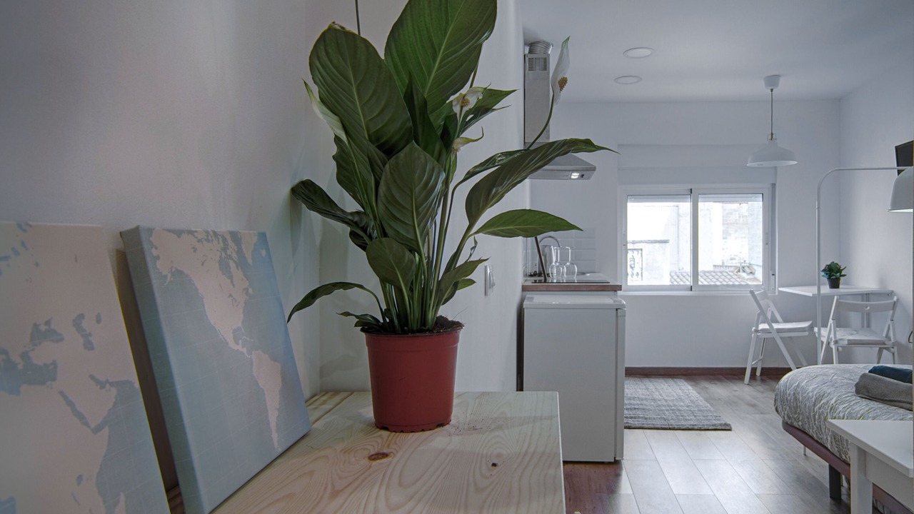 Photo of Bedroom in Badalona