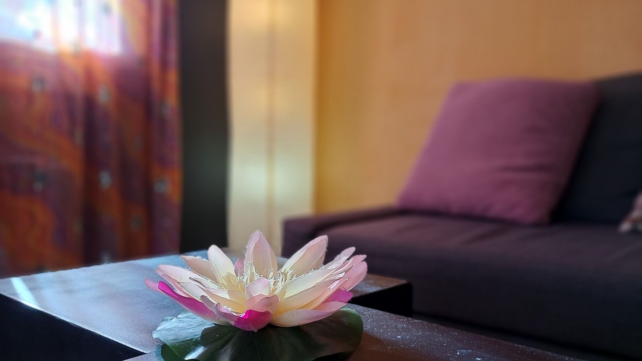 Photo of Livingroom in Sant Fost de Campsentelles
