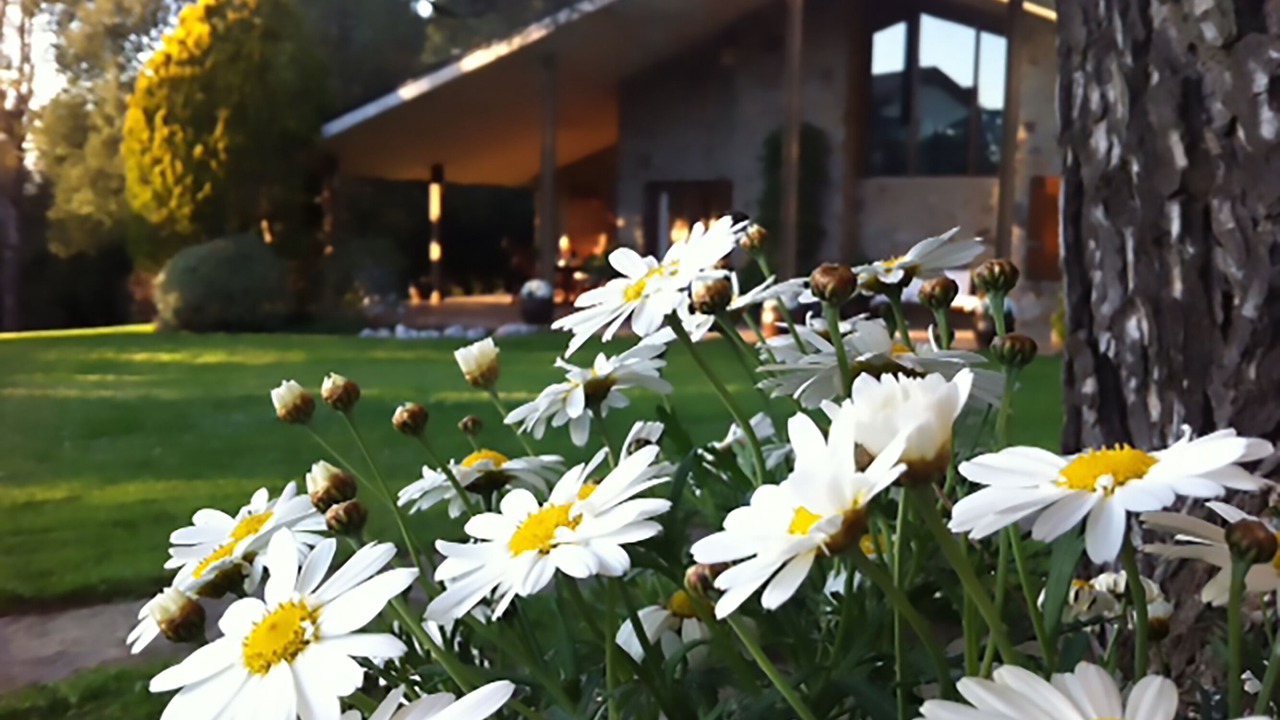 Photo of Outdoor in Seva