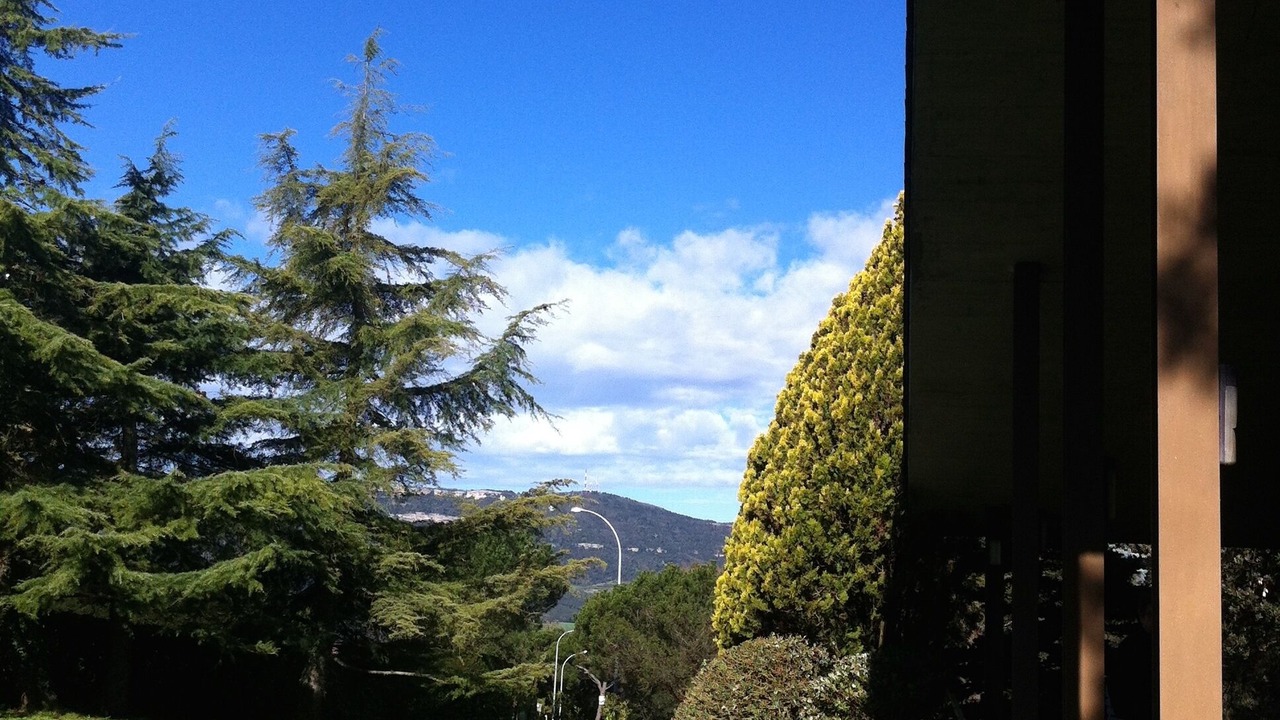 Photo of Outdoor in Seva