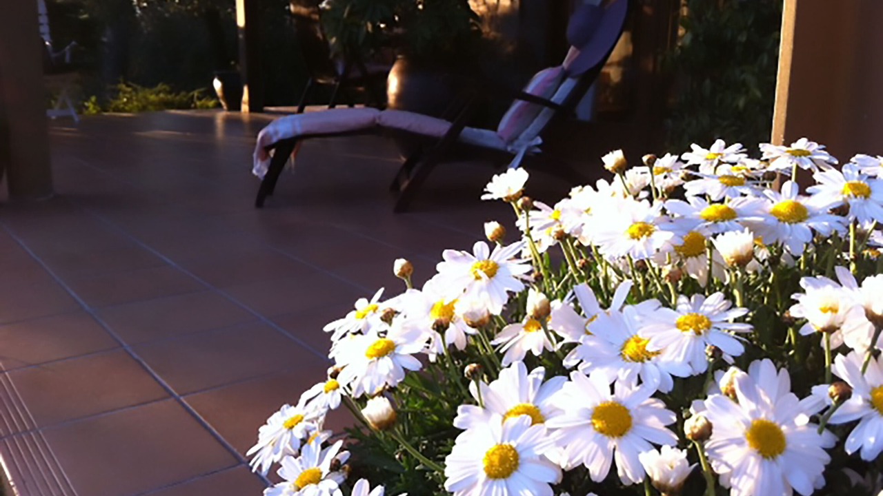 Photo of Outdoor in Seva