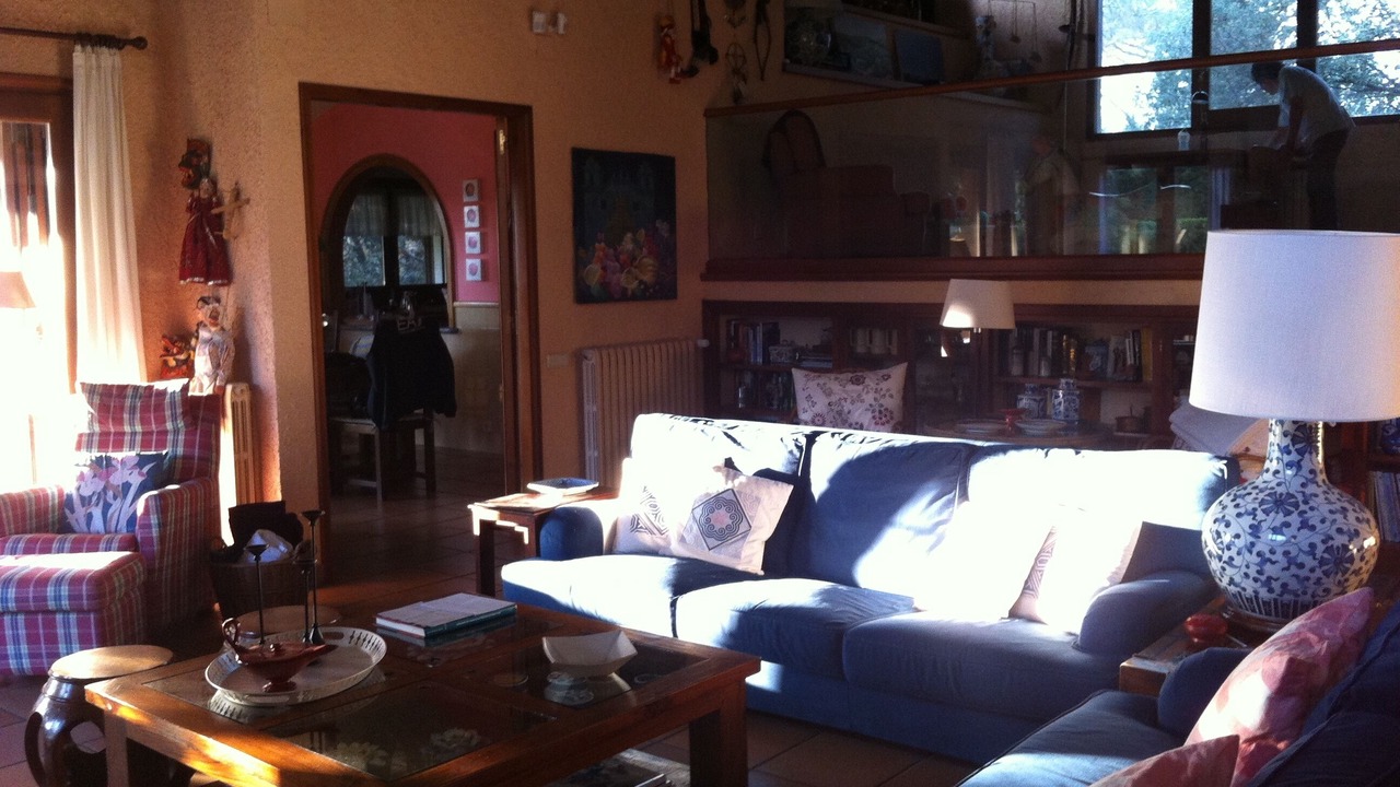 Photo of Livingroom in Seva