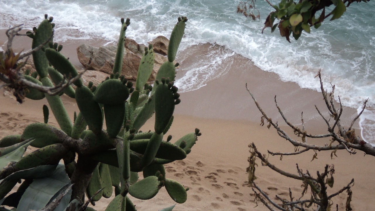 Photo of Others in Calella