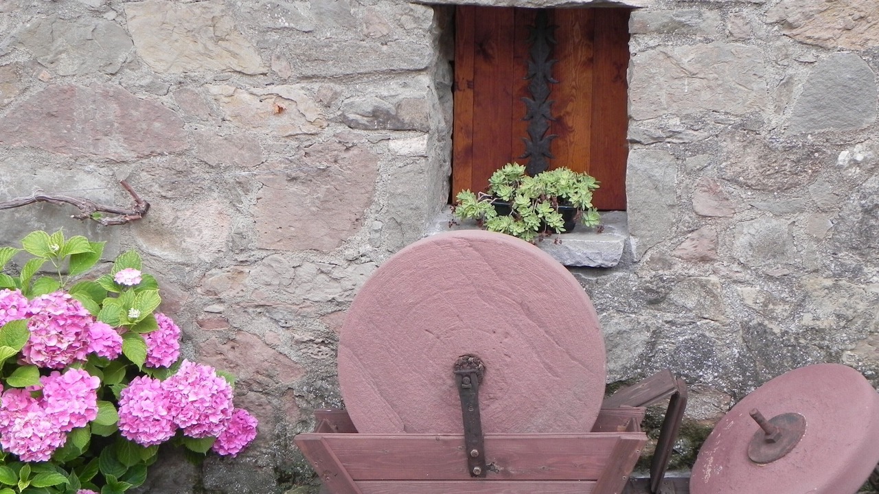 Photo of Outdoor in Perafita