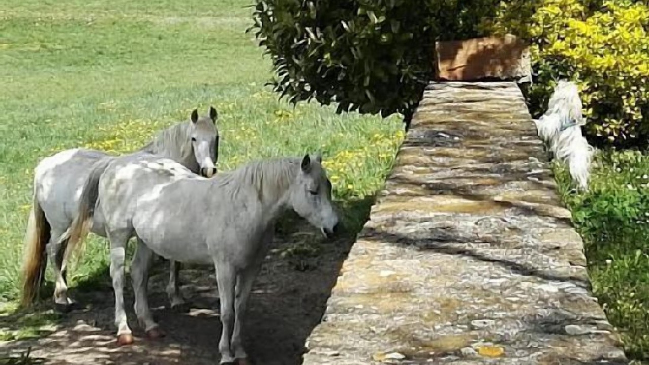 Photo of Outdoor in Rupit I Pruit