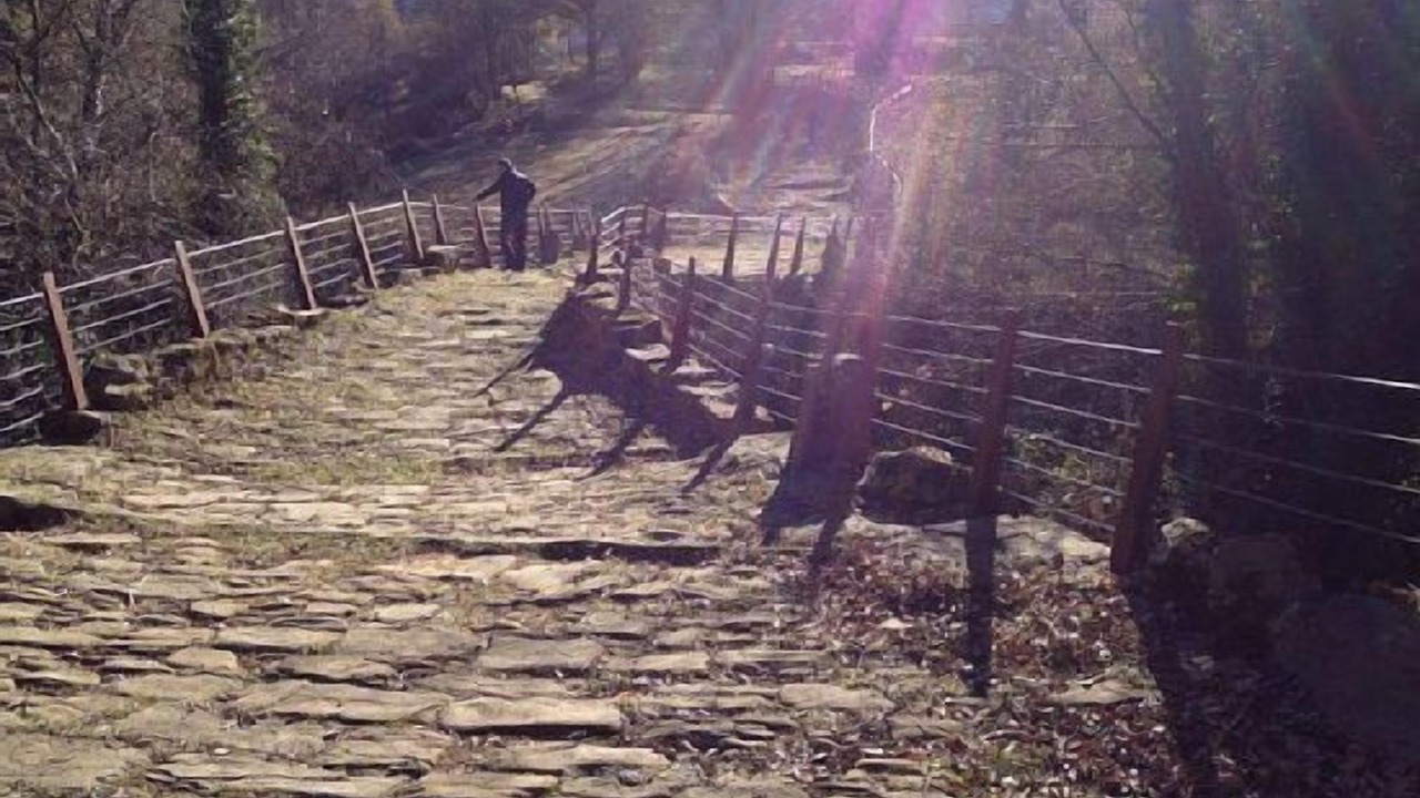 Photo of Outdoor in Rupit I Pruit