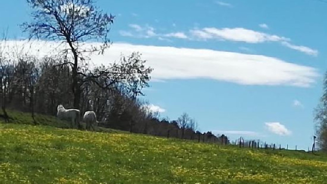 Photo of Outdoor in Rupit I Pruit