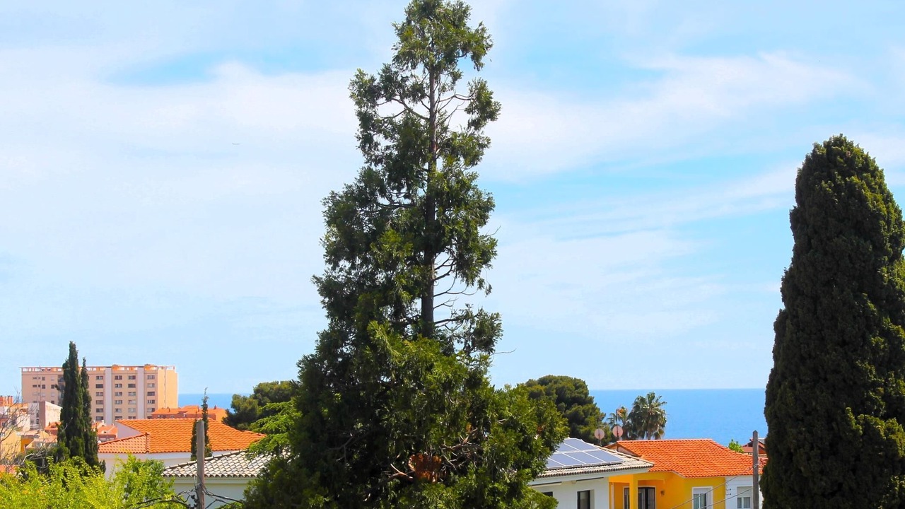 Photo of Others in Masnou