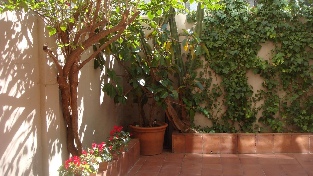 Photo of Outdoor in Sant Gervasi – la Bonanova