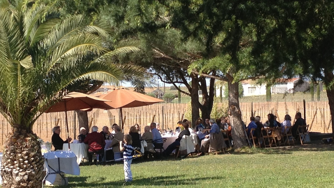 Photo of Outdoor in San Sadurni